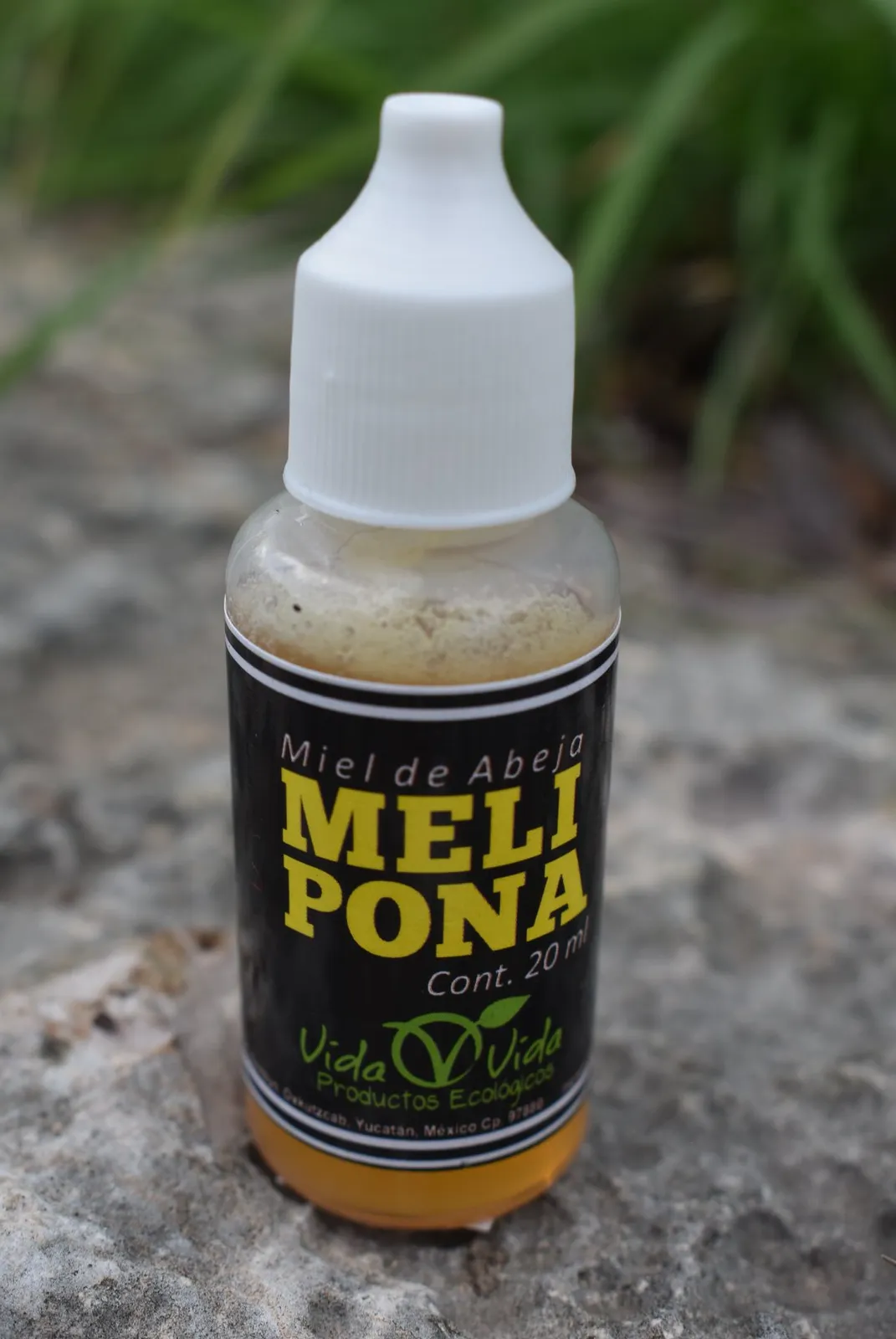 Miel de melipona 20ml